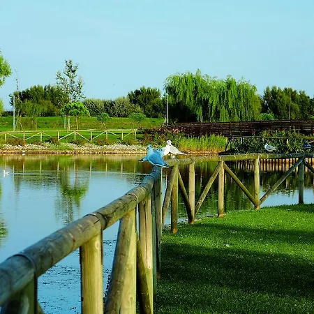 Appartamento Lecci Lido Altanea *