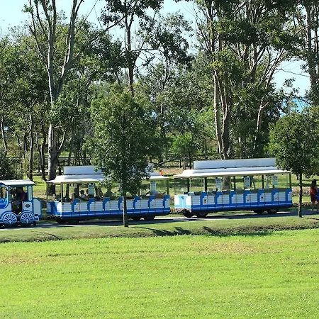 Lecci Lido Altanea Caorle